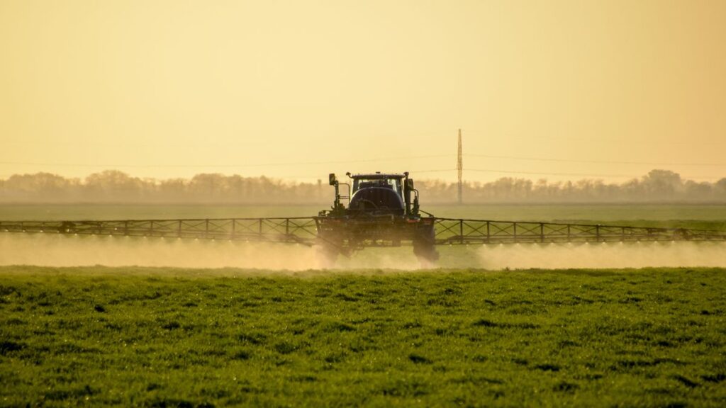 glyphosate