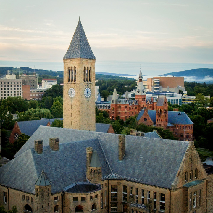 Cornell